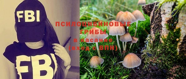 spice Алексеевка